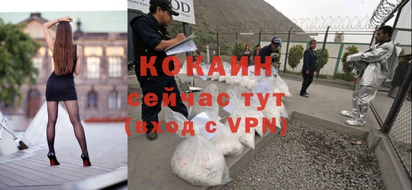 мдпв Богданович