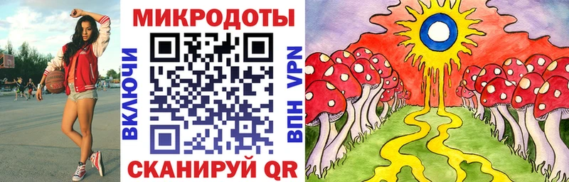 Галлюциногенные грибы Psilocybe  Красноармейск 